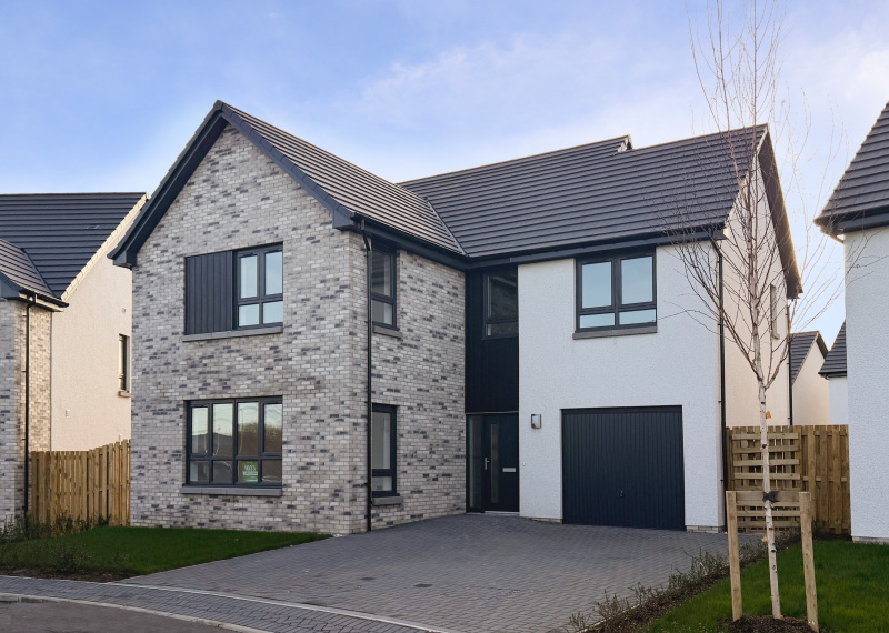 Kincraig plot 9033 with blue sky IMG 4063